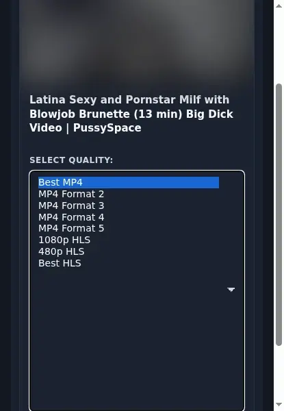 PussySpace Downloader format dropdown options