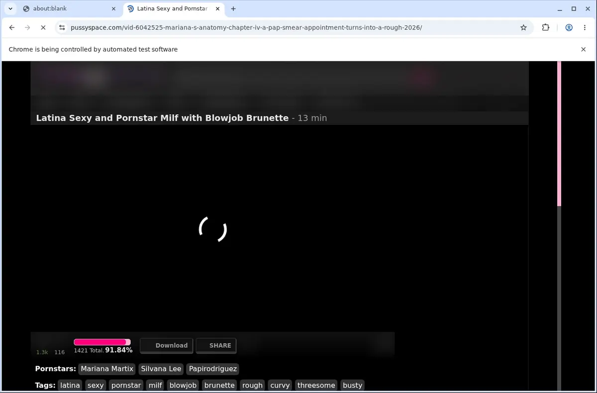 PussySpace Downloader page open in the browser
