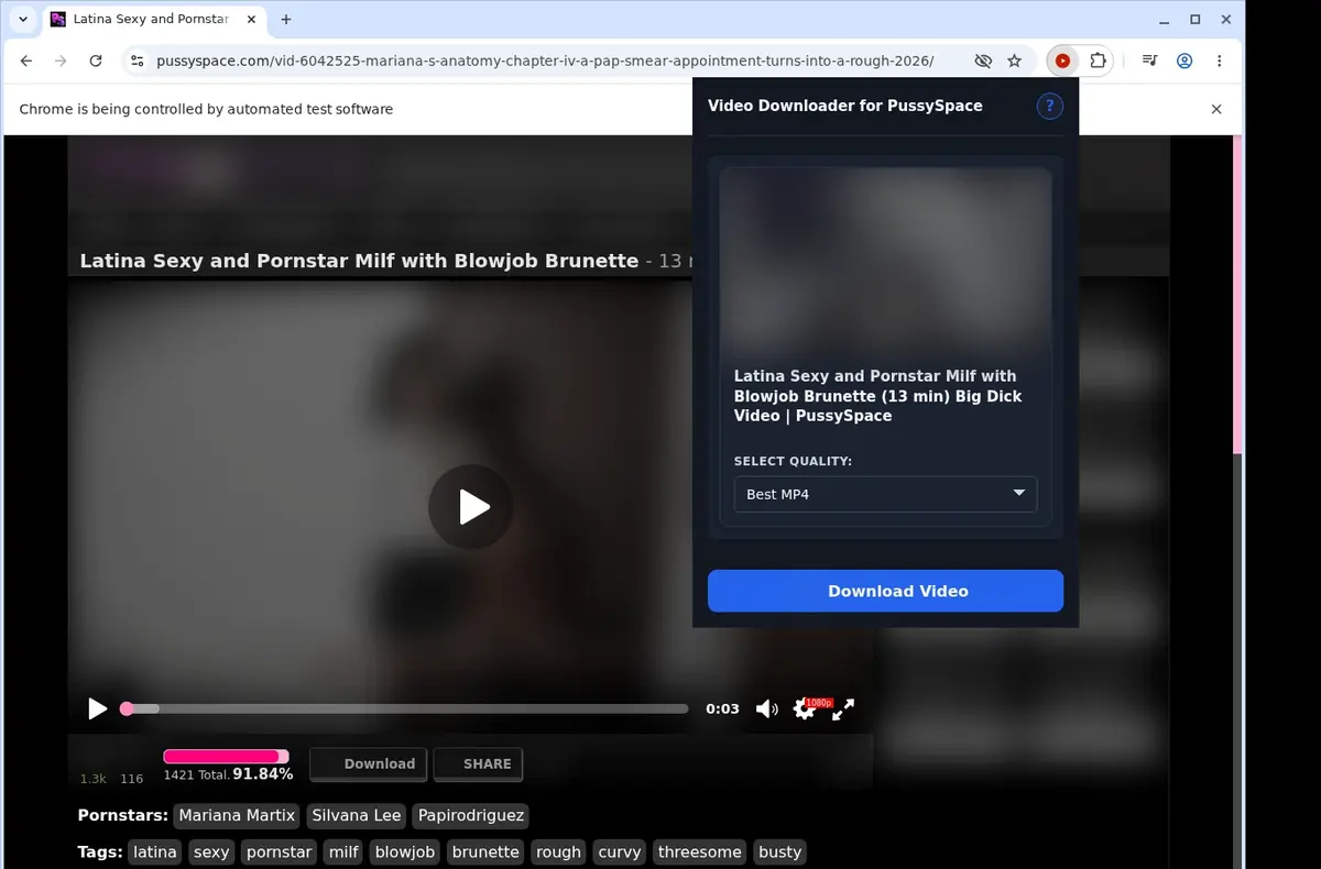 PussySpace Downloader showing detected media ready to download