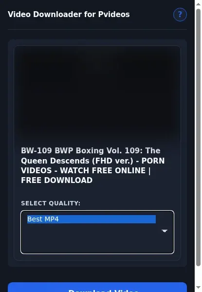 PVideos Downloader format dropdown options
