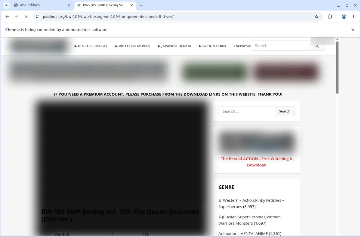 PVideos Downloader page open in the browser