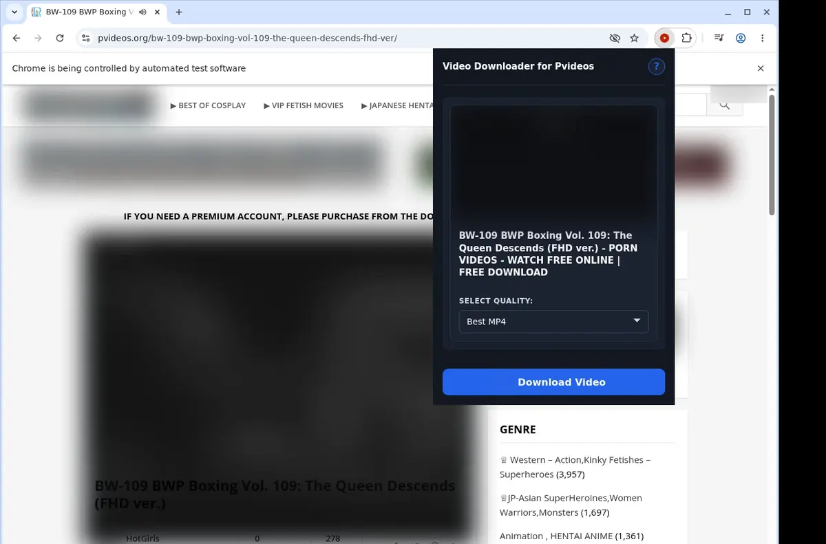 PVideos Downloader showing detected media ready to download