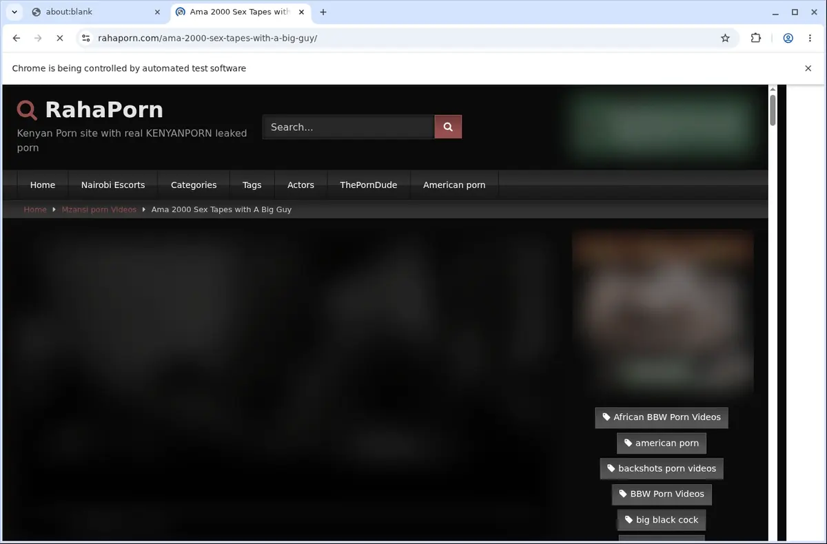 RahaPorn Video Downloader page open in the browser