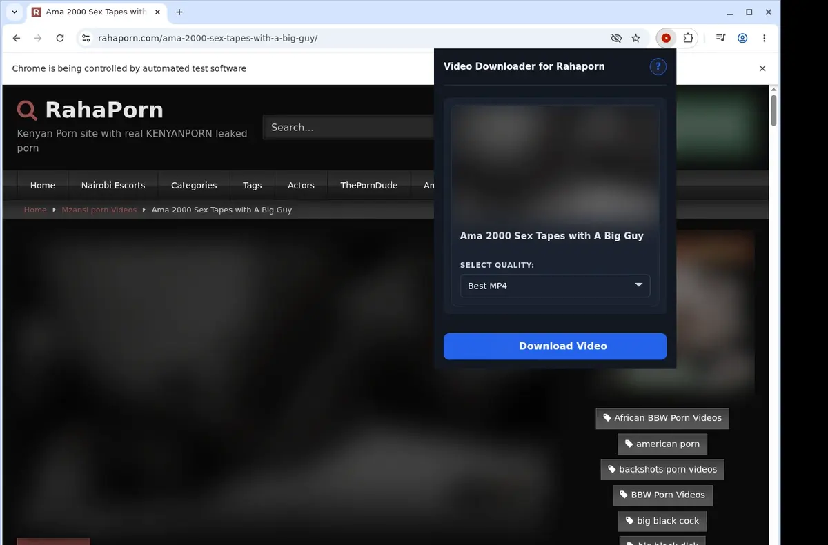 RahaPorn Video Downloader showing detected media ready to download