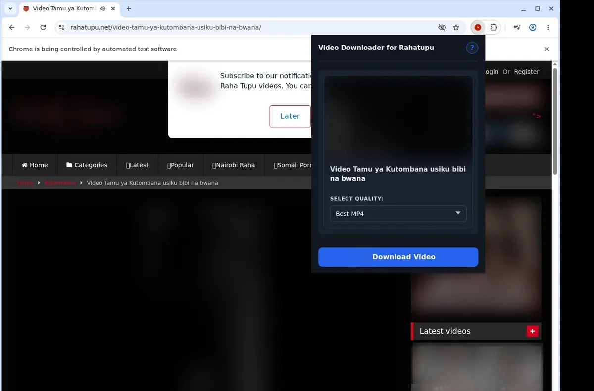 Rahatupu Video Downloader showing detected media ready to download