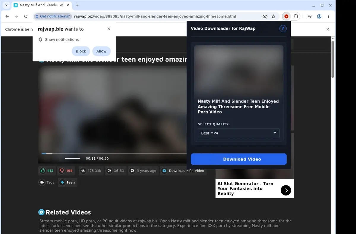 RajWap Downloader showing detected media ready to download