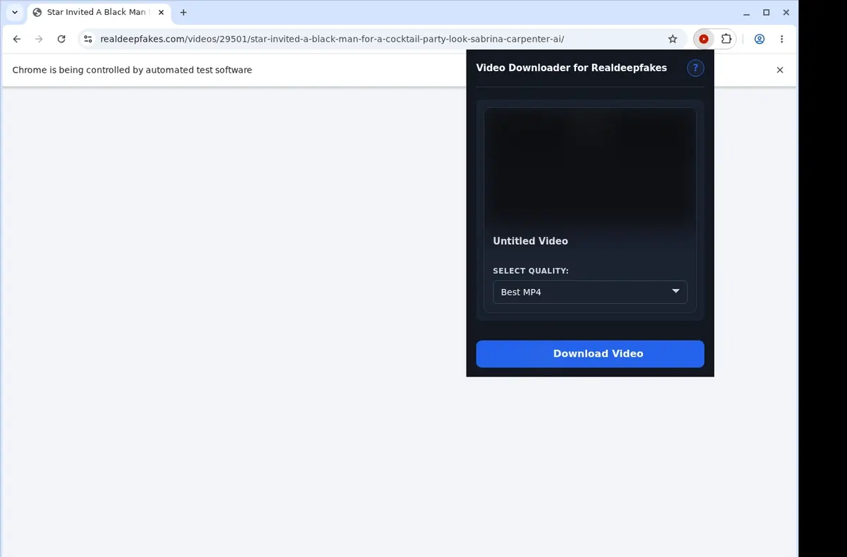 RealDeepFakes Video Downloader showing detected media ready to download