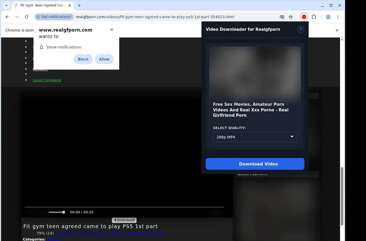 RealGFPorn Video Downloader showing detected media ready to download