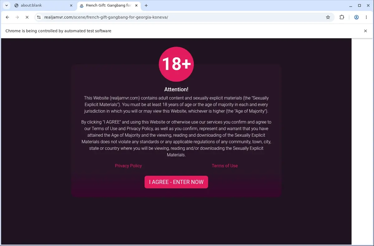 RealJamVR Video Downloader page open in the browser
