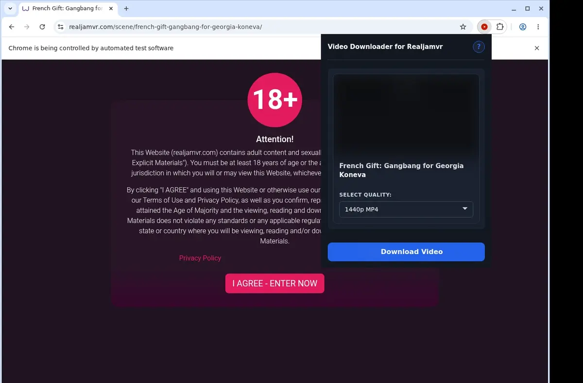 RealJamVR Video Downloader showing detected media ready to download