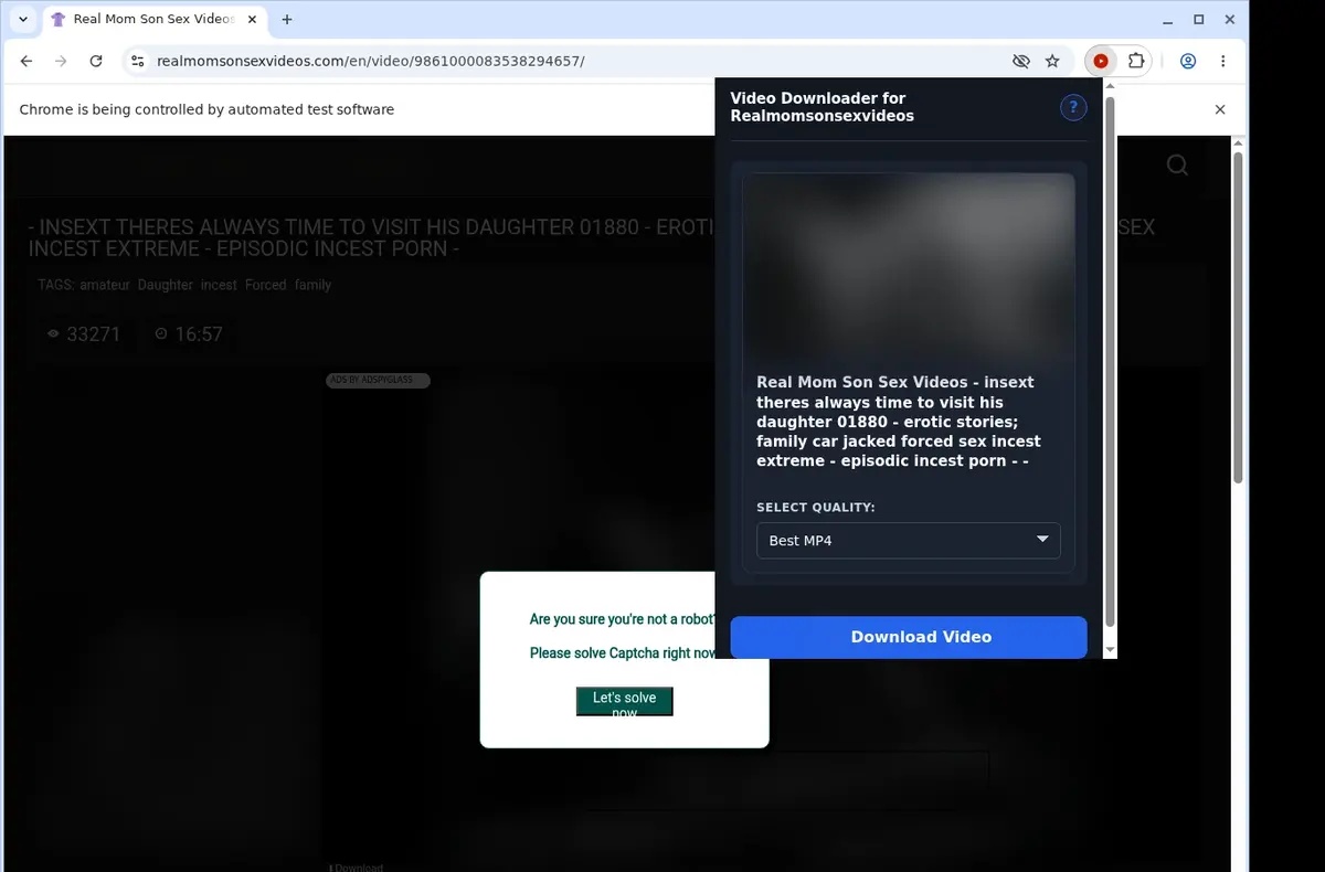 Realmomsonsexvideos Video Downloader showing detected media ready to download