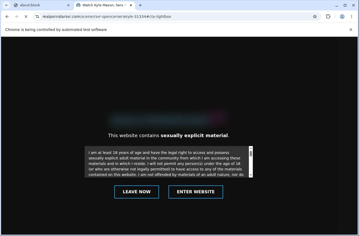 RealPornstarsVR Video Downloader page open in the browser