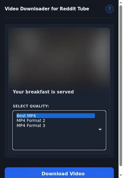 Reddit Tube Downloader format dropdown options