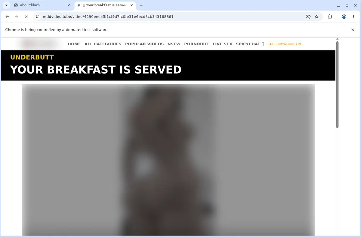 Reddit Tube Downloader page open in the browser