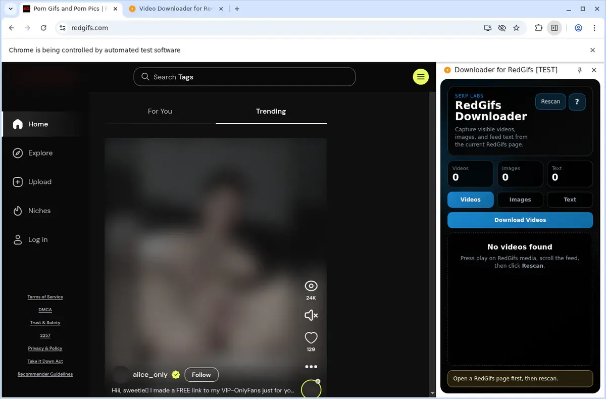 RedGifs Video Downloader download progress panel