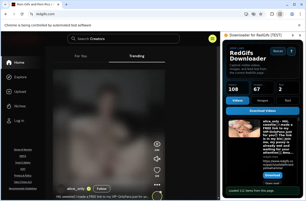 RedGifs Video Downloader showing detected media ready to download