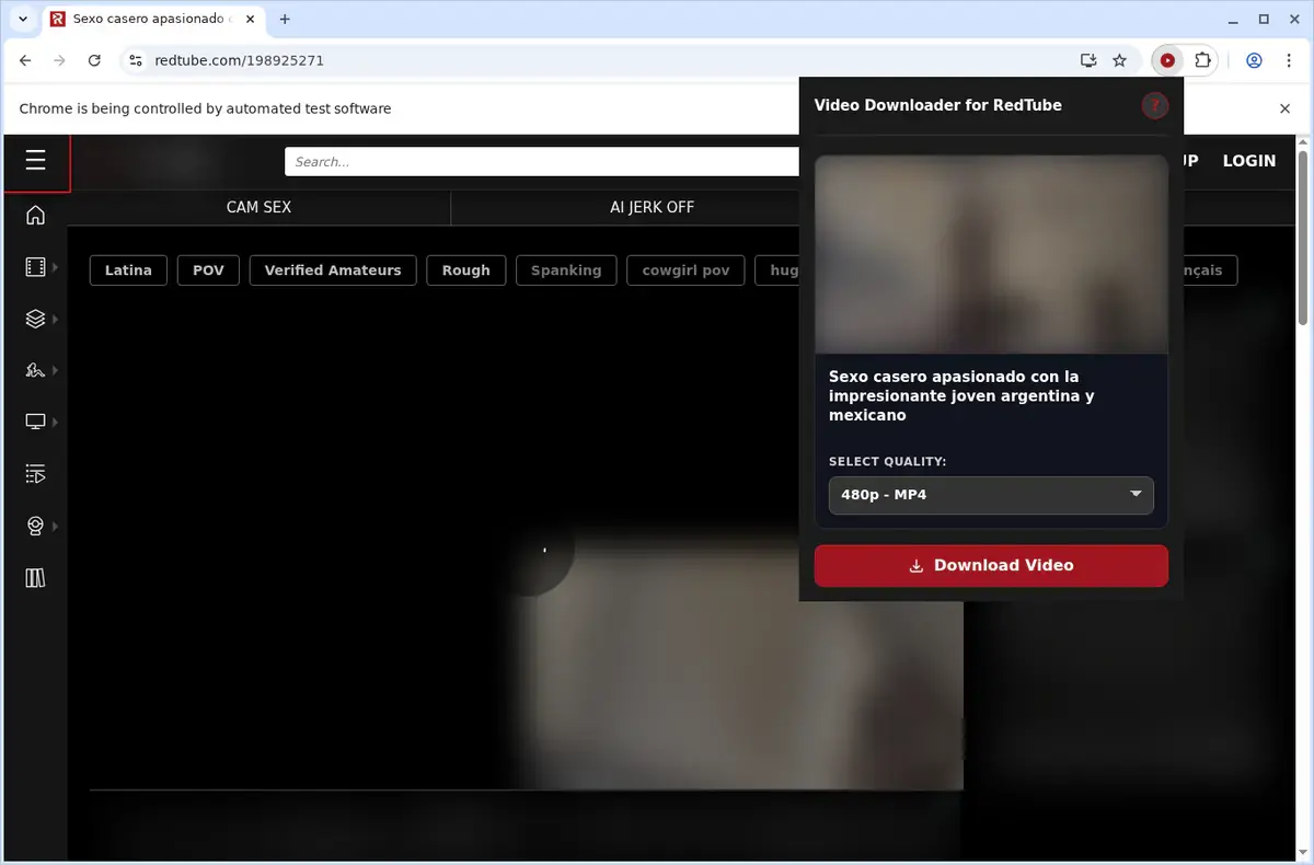RedTube Video Downloader showing detected media ready to download