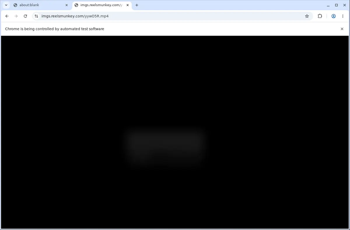ReelsMunkey Video Downloader page open in the browser