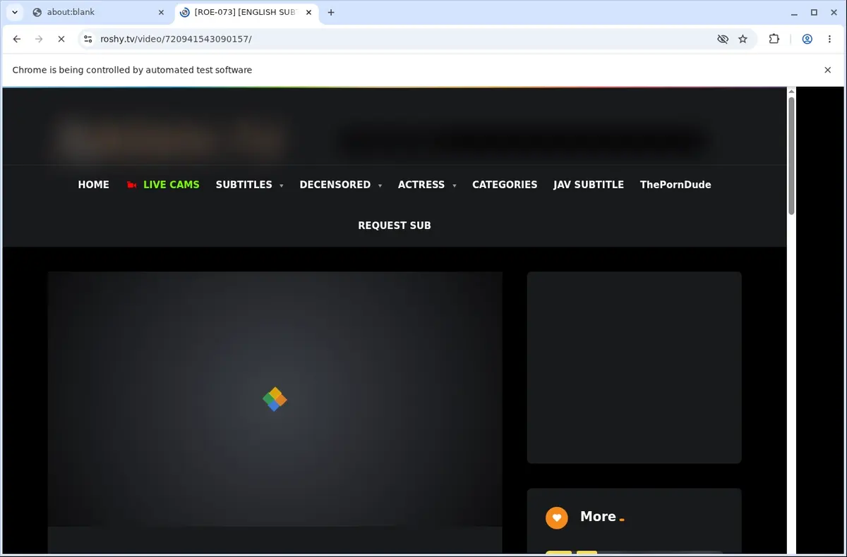 Roshy Video Downloader page open in the browser