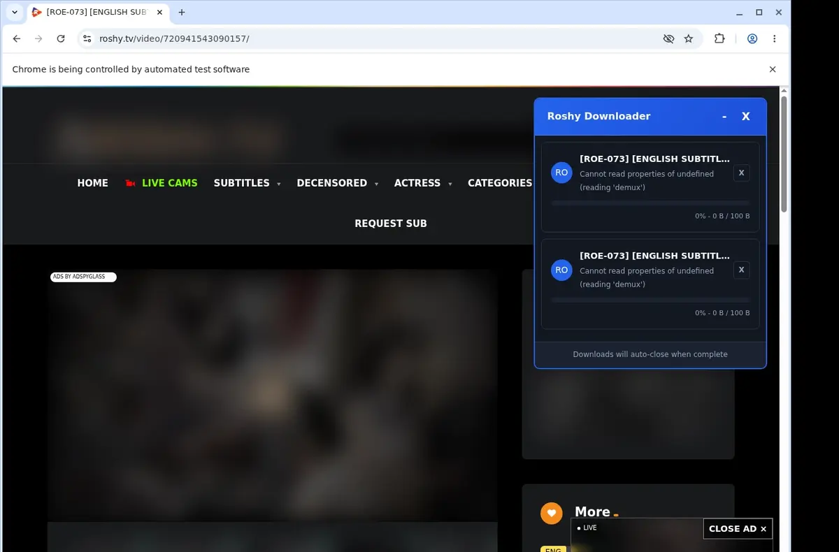 Roshy Video Downloader download progress panel