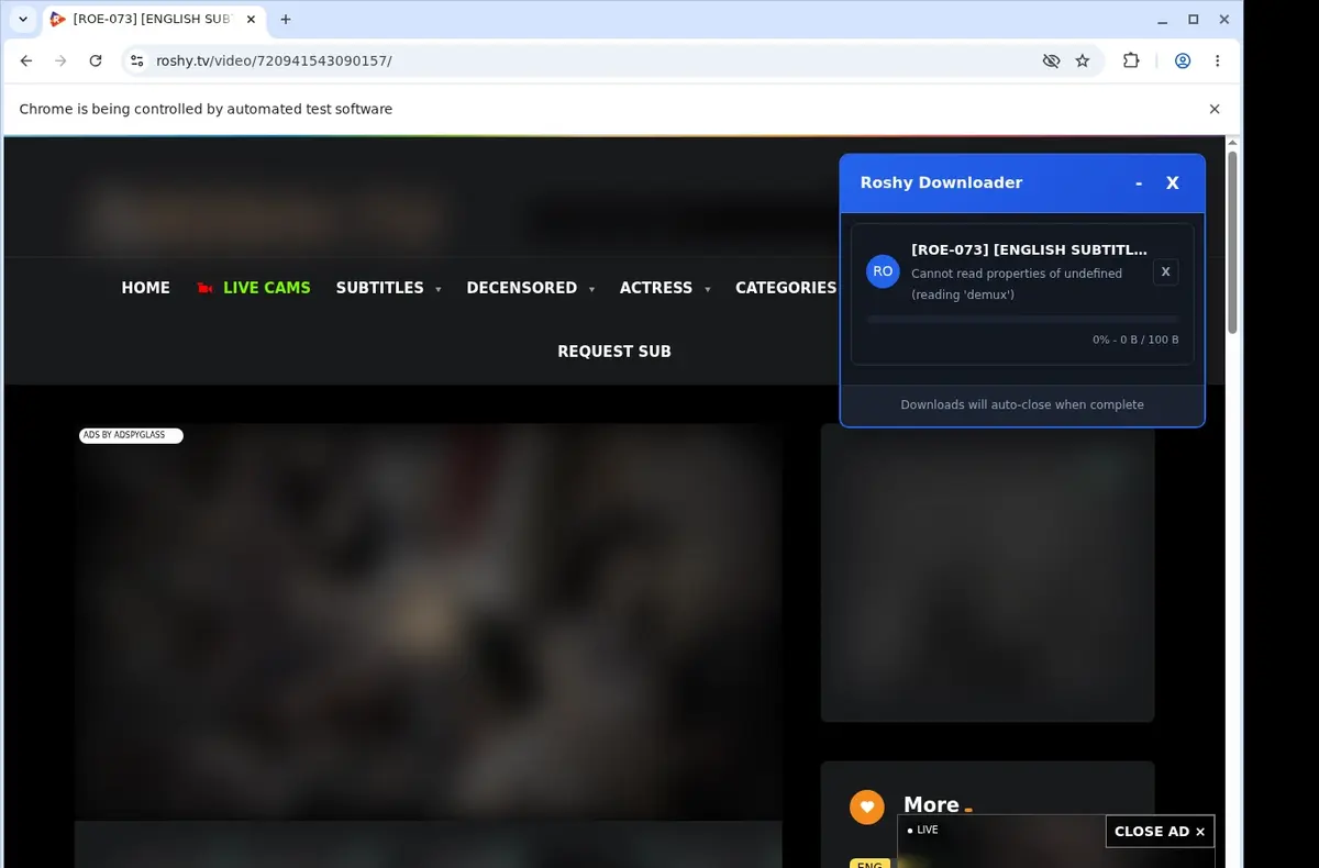 Roshy Video Downloader showing detected media ready to download