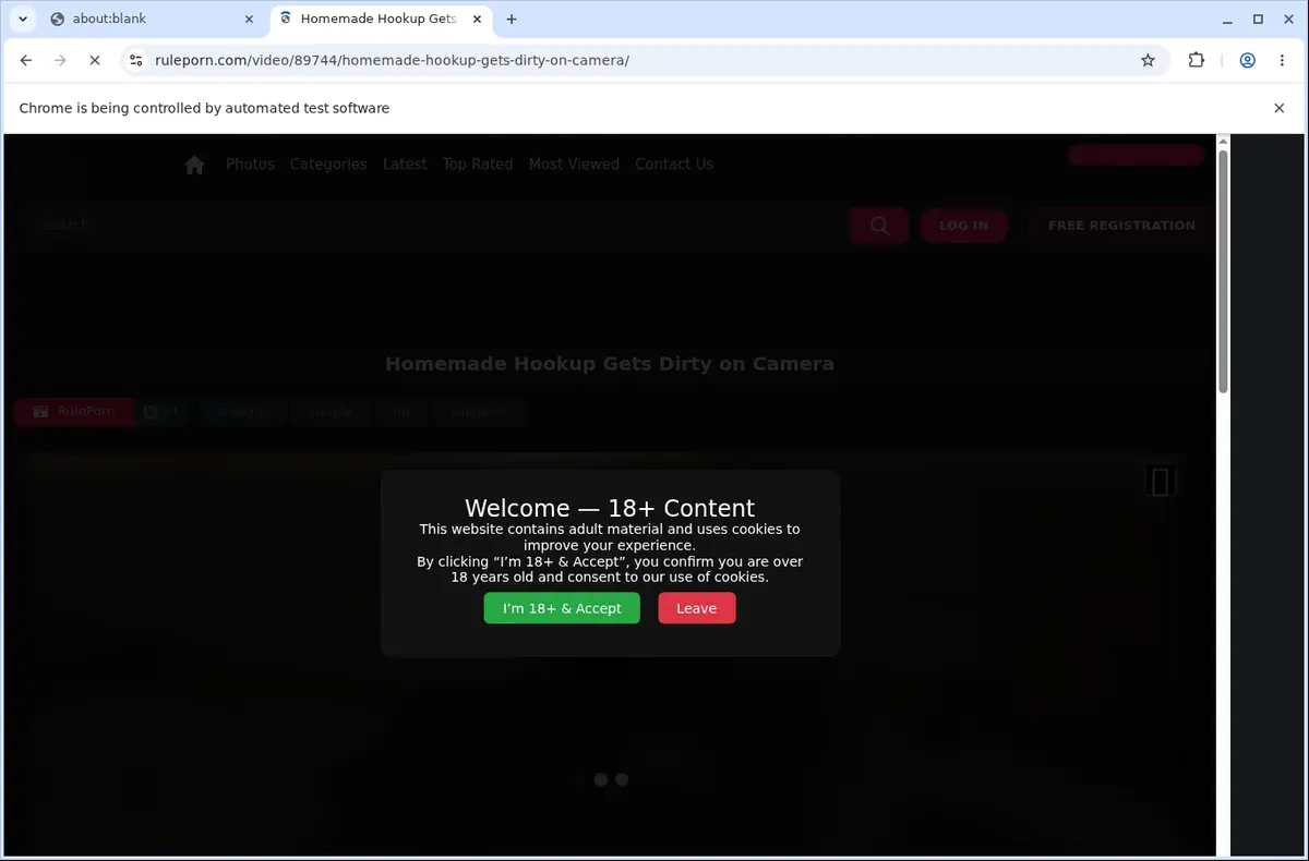 RulePorn Video Downloader page open in the browser