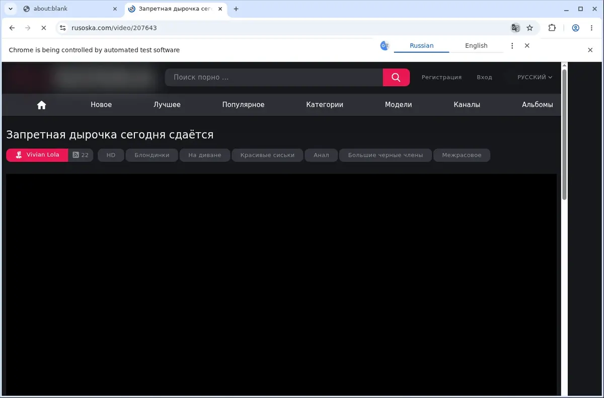 Rusoska Video Downloader page open in the browser
