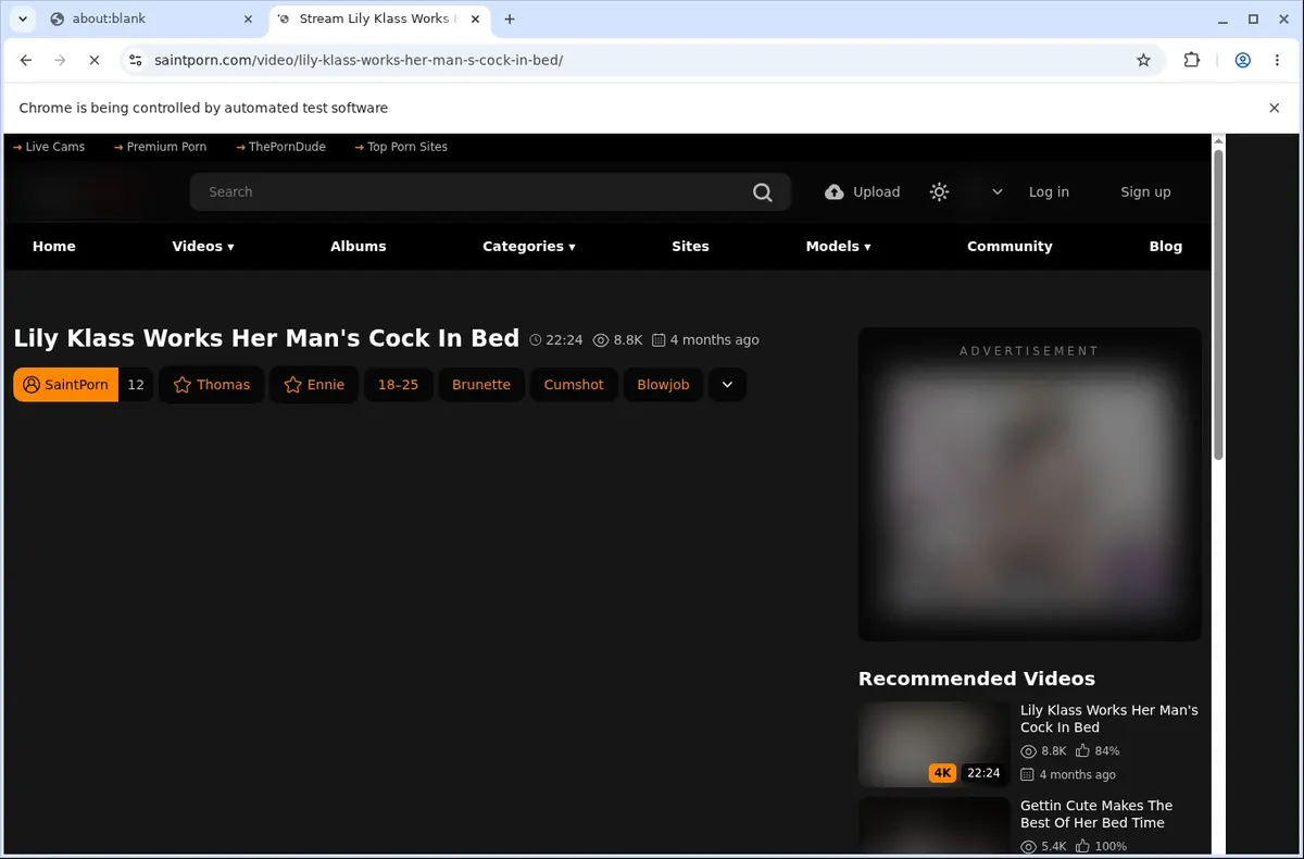 SaintPorn Downloader page open in the browser