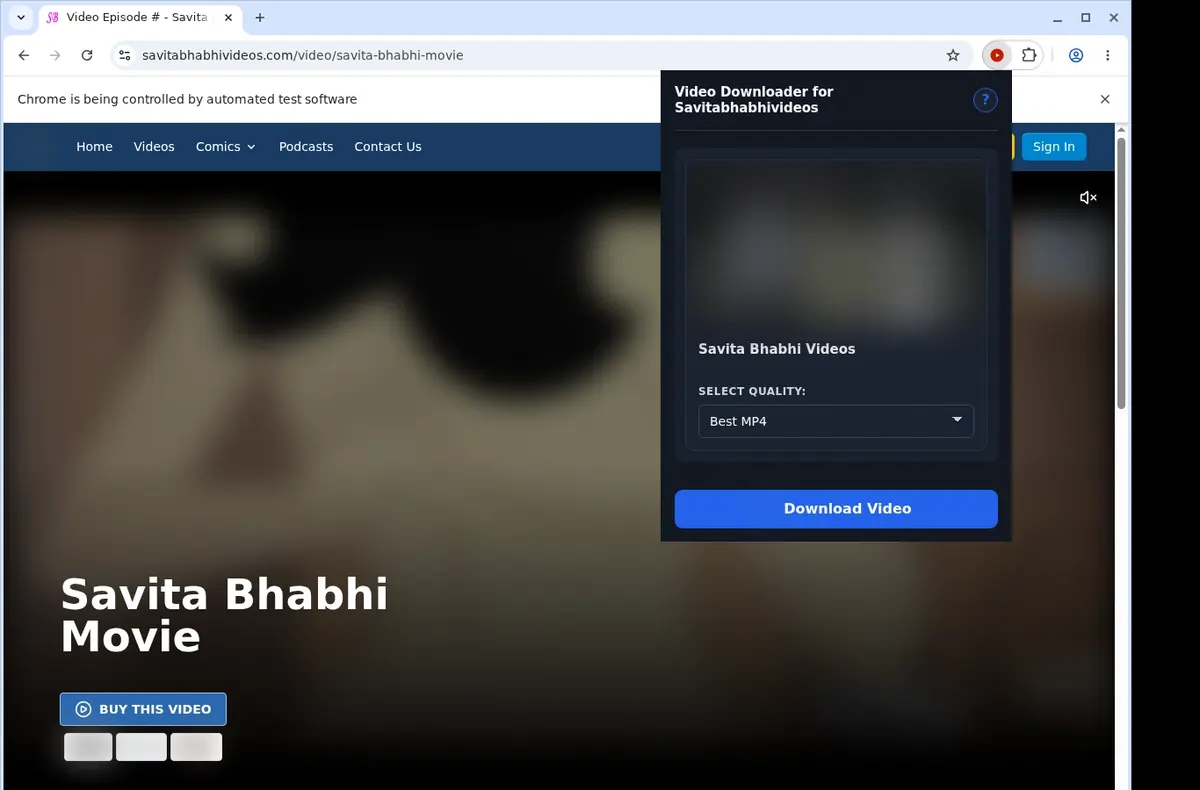 SavitaBhabhiVideos Video Downloader showing detected media ready to download