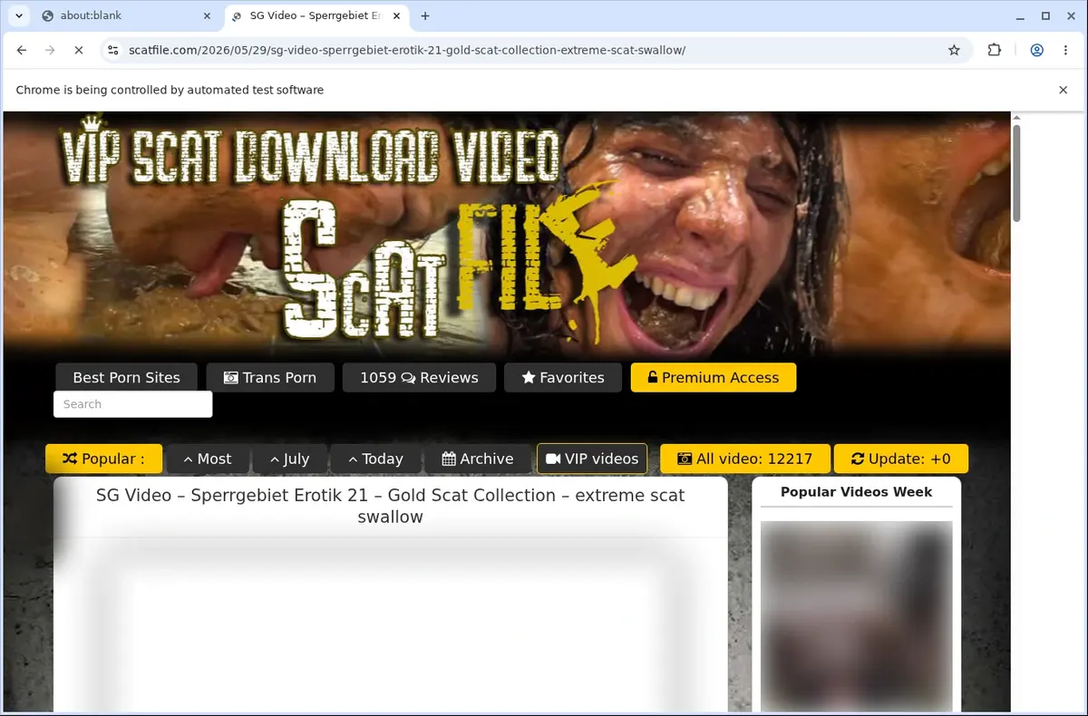 ScatFile Video Downloader page open in the browser
