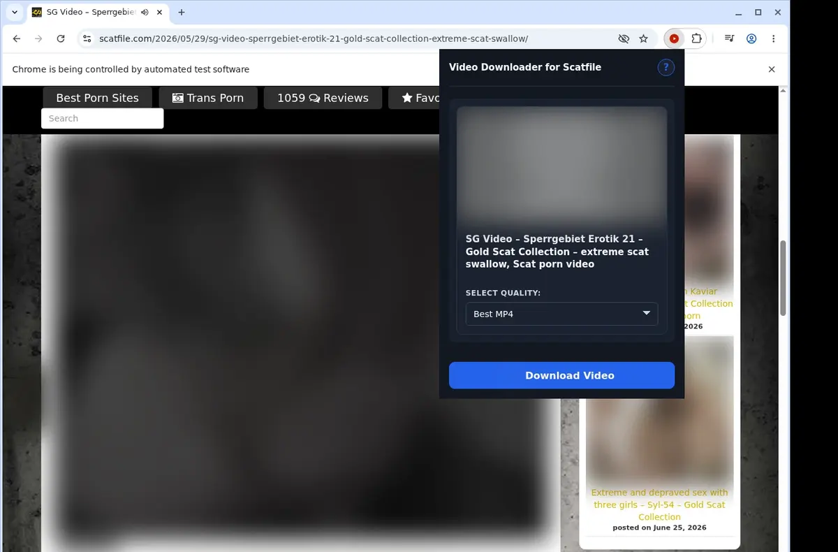 ScatFile Video Downloader showing detected media ready to download