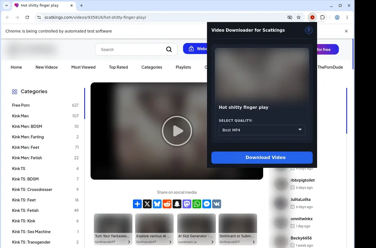 ScatKings Video Downloader showing detected media ready to download