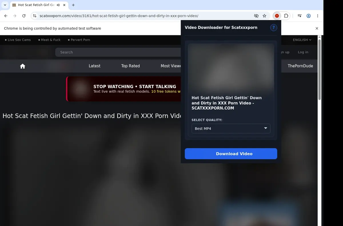 ScatXXXPorn Video Downloader showing detected media ready to download