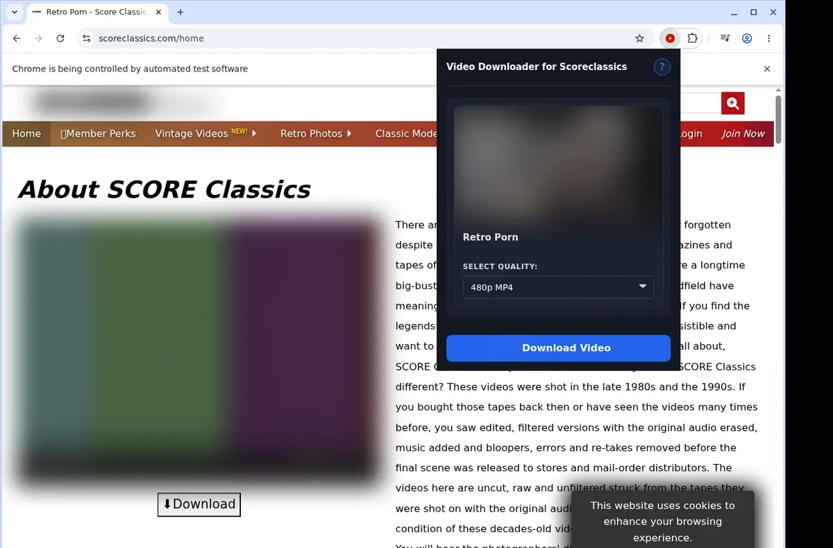 ScoreClassics Video Downloader showing detected media ready to download