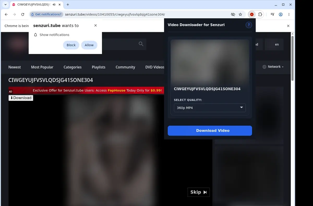 Senzuri Video Downloader showing detected media ready to download