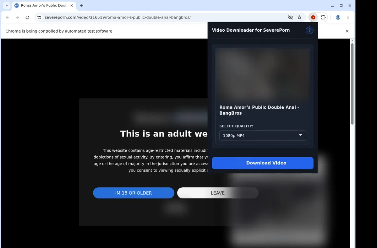 SeverePorn Downloader showing detected media ready to download