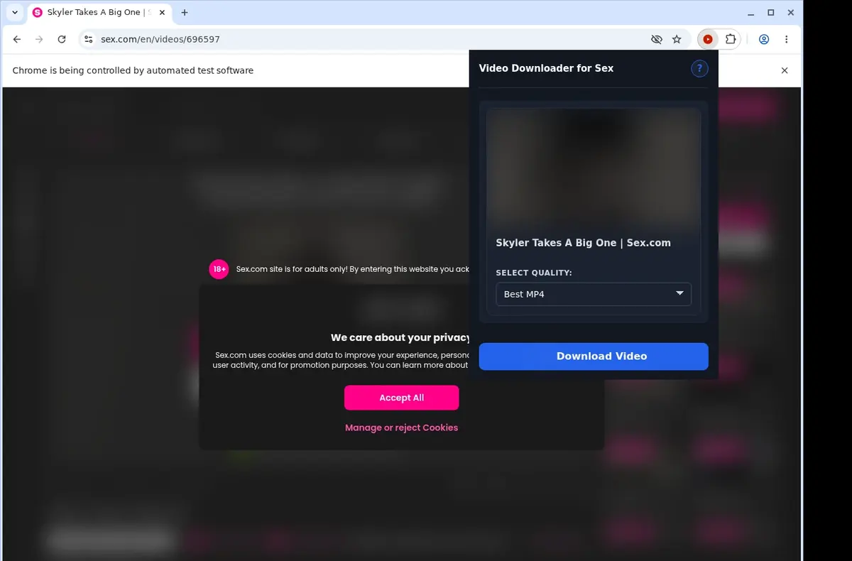 Sex.com Video Downloader showing detected media ready to download