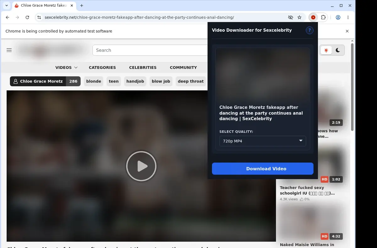 Sexcelebrity Downloader showing detected media ready to download
