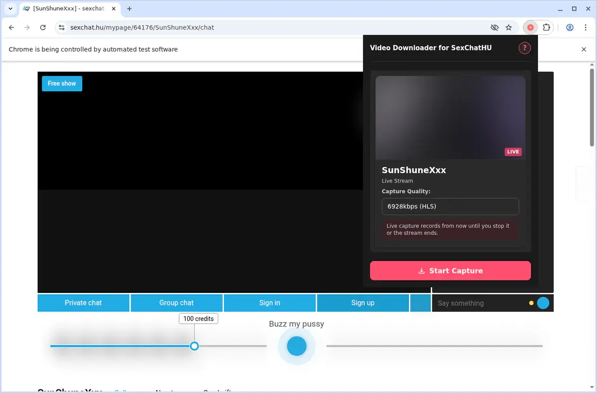 SexChat.hu Video Downloader showing detected media ready to download
