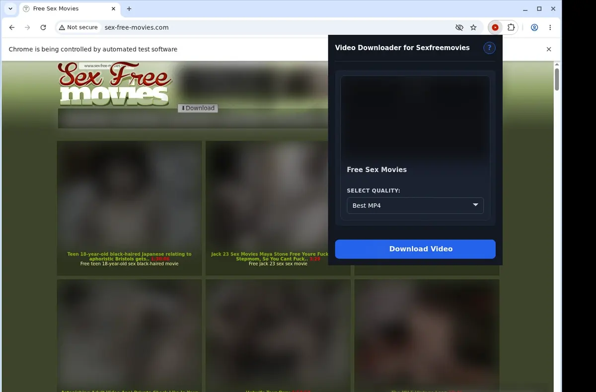 Sexfreemovies Video Downloader showing detected media ready to download