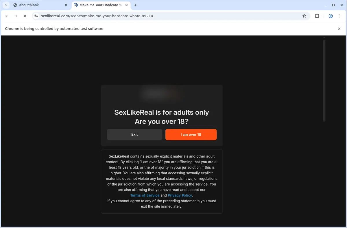 SexLikeReal Video Downloader page open in the browser