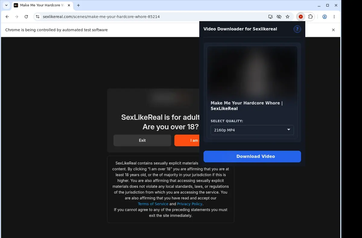 SexLikeReal Video Downloader showing detected media ready to download