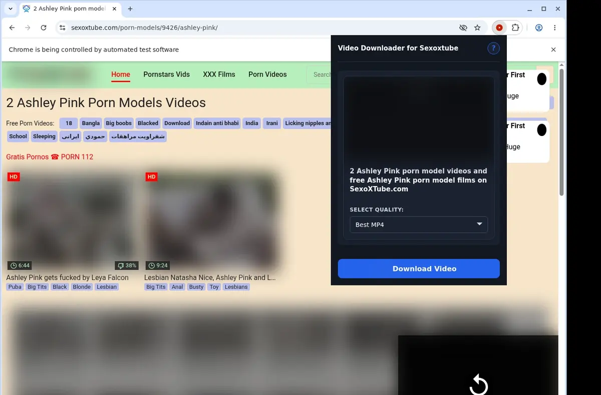 Sexoxtube Video Downloader showing detected media ready to download