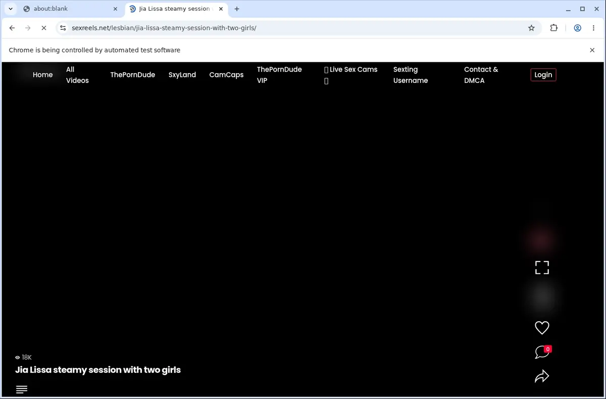 SexReels Video Downloader page open in the browser
