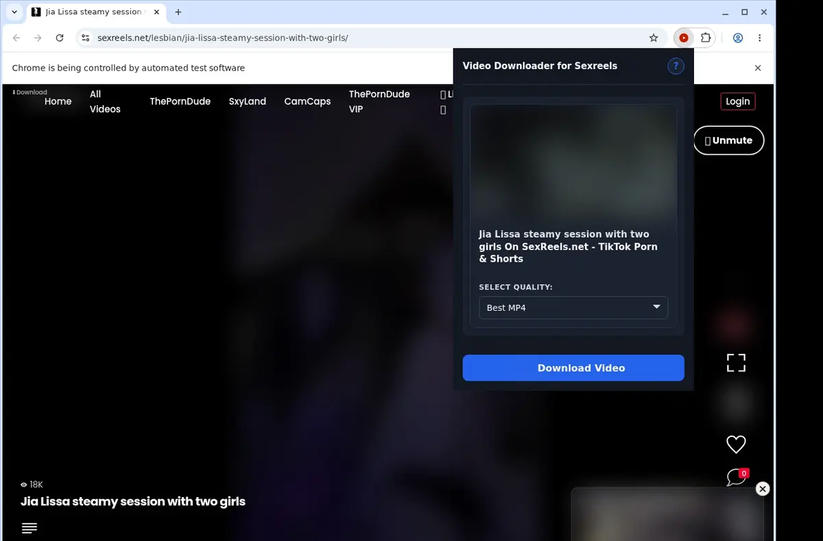 SexReels Video Downloader showing detected media ready to download