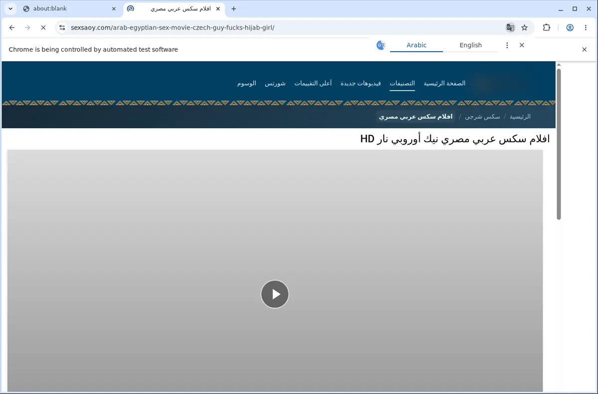 SexSaoy Video Downloader page open in the browser