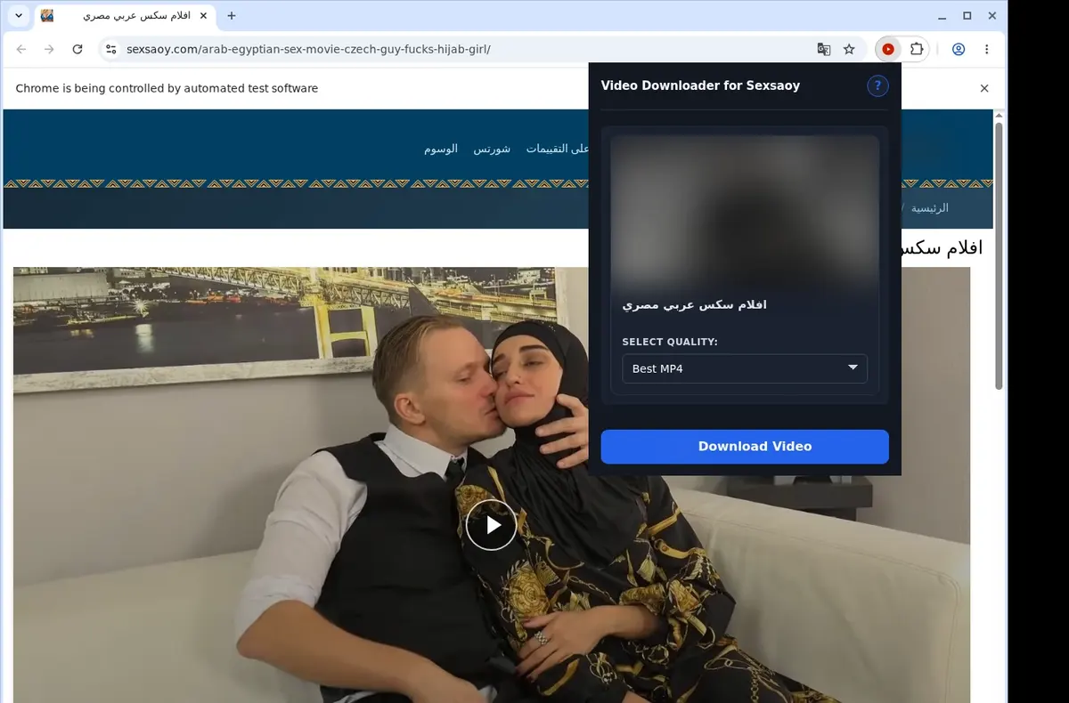 SexSaoy Video Downloader showing detected media ready to download