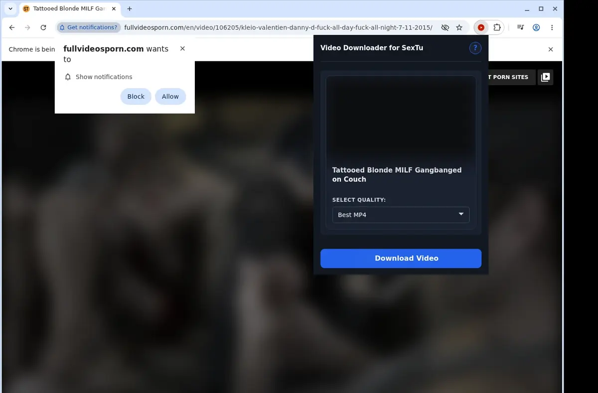 SexTu Downloader showing detected media ready to download