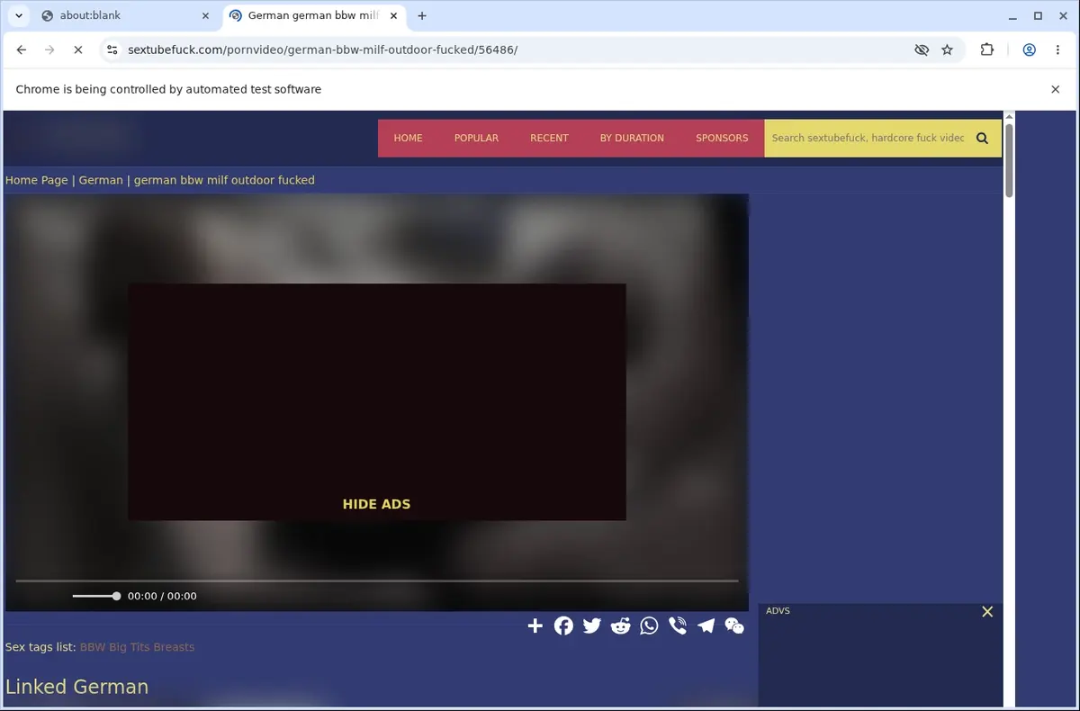 SextubeFuck Video Downloader page open in the browser