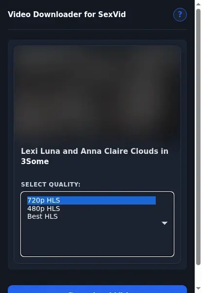 SexVid Downloader format dropdown options